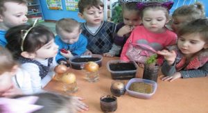 Ungherașele de natură (primăvara) (12.03.2019)