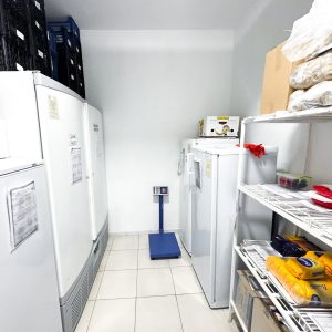 Depozit alimentar complet renovat în Grădinița nr. 156 din sectorul Centru